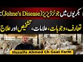 Bakriyon Mein Johne's Disease:Ta'aruf, Wajohat, Alamaat, Tashkhees Aur Ilaaj.#goatfarming#farming 