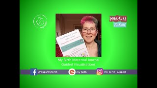 My Birth Maternal Journal Visualisation - Moments
