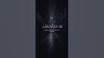 #قرآن 🌱 #راحة_نفسية #تلاوة_خاشعة #سورة_النحل #خالد_الجليل