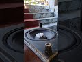 Don’t Buy This Bose Subwoofer Until You Watch This! #bass #tvrepair #automobile #speaker #extreme