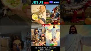 Jesus guides us through every storm! #jesus #god #bible #blessed #prayer #shorts