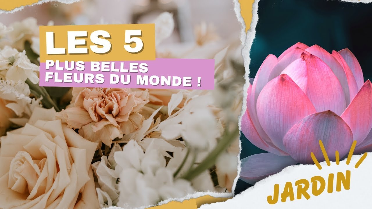 5 Fleurs MAGNIFIQUES qui vont vous éblouir !