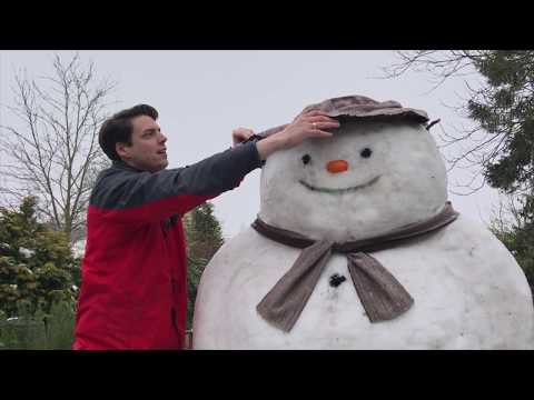 Come fare 'The Snowman'