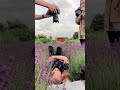 Behind The Scenes Photo Shoot In Lavender Field рџЊё Couple Gay Lavender Behind The Scenes Photo Shoot In Lavender Field рџЊё Couple Gay Lavender