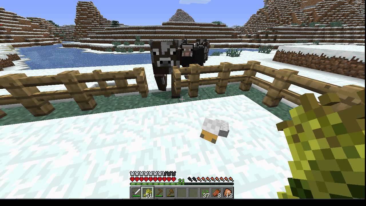 Minecraft How to herd and breed animals. (Farming EP2) - YouTube