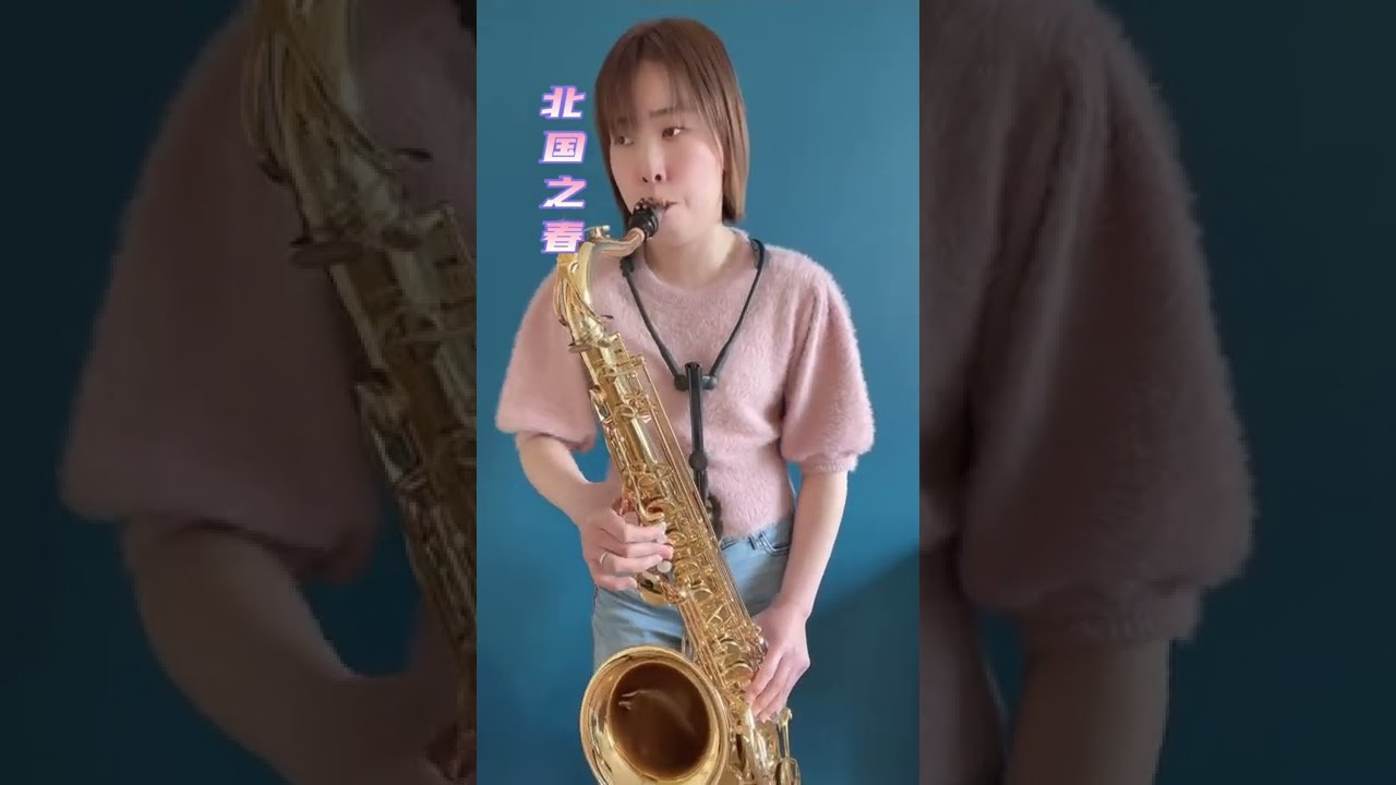 【萨克斯】北国之春——HuiSax