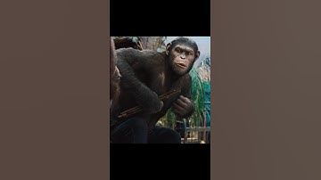 Unity is strength #movie #shortvideo #film #shorts #viralvideo