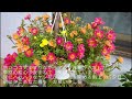 昭和の歌4010#恋文 由紀さおり