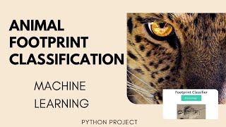 WildTrackAI- Computer Vision to Animal Footprint Classification | Machine Learning Projects