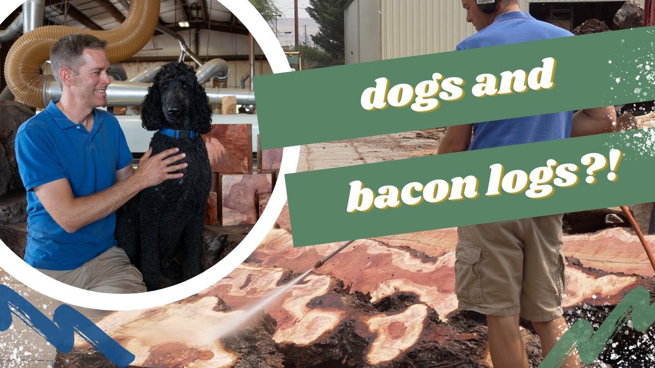 First Time EVER Milling This Beautiful Peruvian Pepperwood Burl