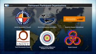 What is the Arctic Council?