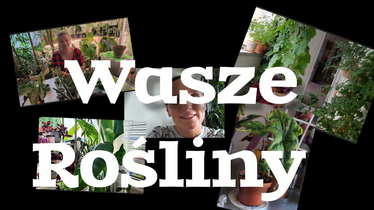 Wasze rośliny 💚💚💚PLANT TOUR