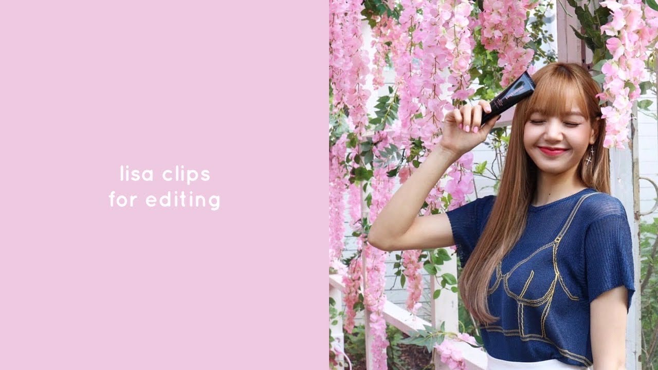 lisa clips for editing