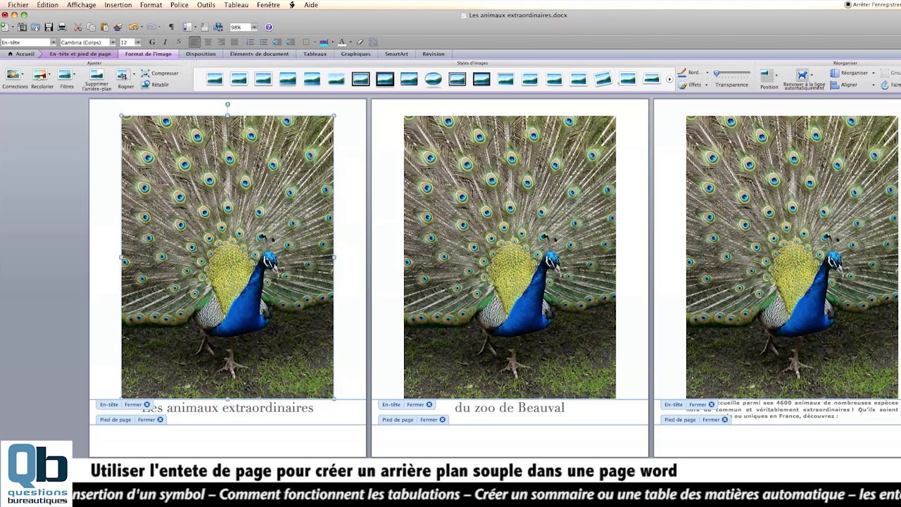 Mettre Une Image En Arrière Plan Word