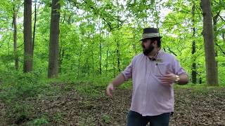Curator's Chat: Battery Bates in Devou Park