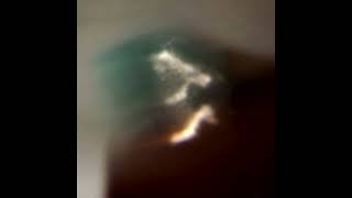 Disangro - Core Nere Single