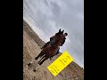 سیلمی عرب خارجی هماهنگی برای کشش