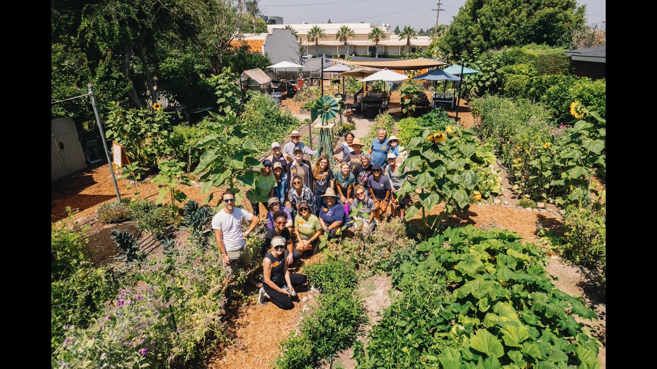 Who is the Orange Home Grown Foundation YouTube