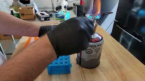 Fungal Barcoding at Home Part 1: DNA extraction and PCR reaction setup.