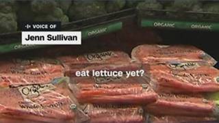 Is it safe to eat lettuce yet?