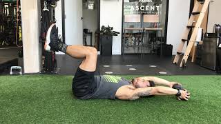 Supine Dumbbell w/ Overhead Reach