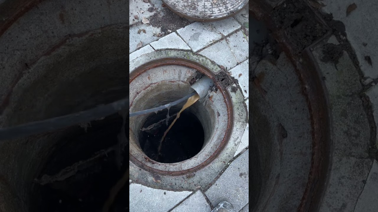 Preventing Drain Clogs: What You Need to Know