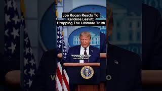 joe Rogan reacts to Karoline Leavitt dropping the ultimate truth #joerogan #joeroganexperience