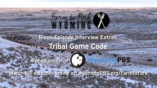 Tribal Game Code Bison Web Extra