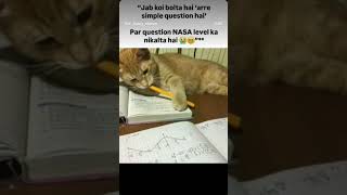 “Simple bolte hain, par question NASA level nikalta hai 😭🐱🚀”#gameskhelkarpaisekai #study #viral