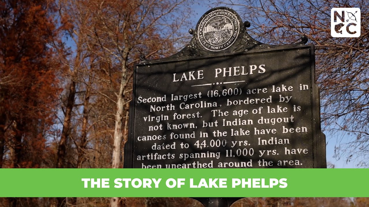 The Story of Lake Phelps