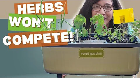 Kitchen Herb Planter: Why SELF-WATERING works so well #vegoplanter