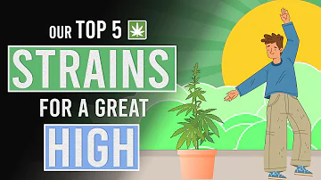 Our Top 5 Weed Strains for a Great High!