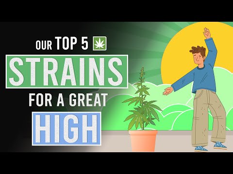 Our Top 5 Weed Strains For A Great High!