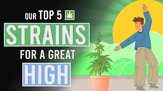 Our Top 5 Weed Strains for a Great High! screenshot 1