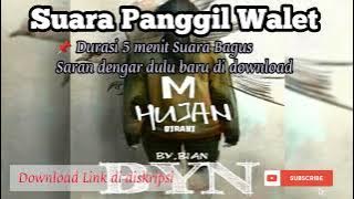 Suara panggil walet M Hujan Birahi Original