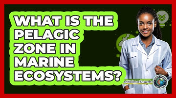 What Is The Pelagic Zone In Marine Ecosystems? - Earth Science Answers