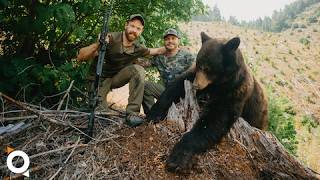 PNW Fall Bear Hunt | My First Black Bear