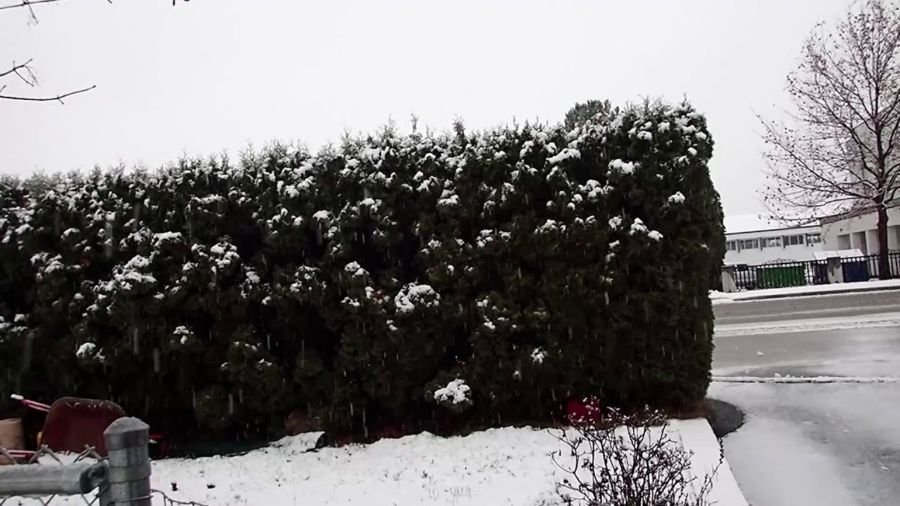 Snow Storm of December 21st, 2020 -  Heavy Snowfall Commences -  Part 2 of 3