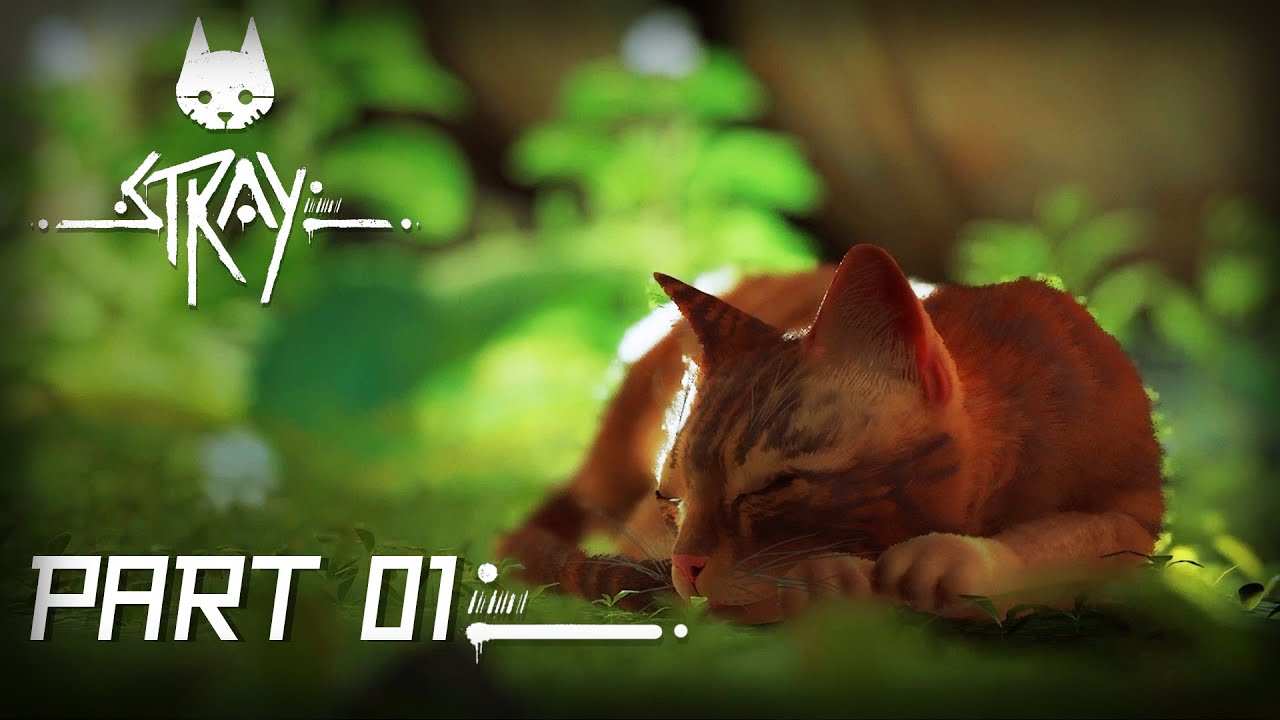 STRAY | PART 01 | PC GAMEPLAY | NeverQuit Gameplay