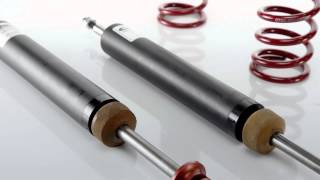 Celebrity MULTI-PRO-R1 | Coilovers with Single Adjustable Rebound and Compression Damping. Profile