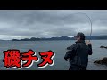 【神回】猪熊博之のチヌ釣りの凄さを目撃!目からウロコ!