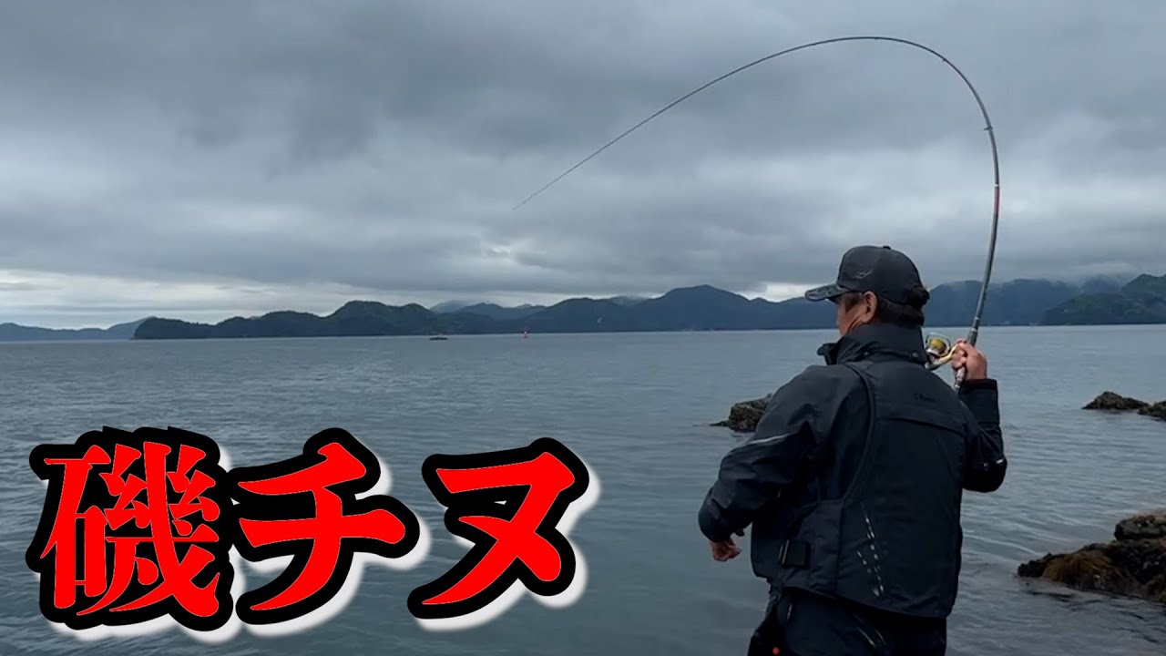 がま磯Aldena（アルデナ）【チヌ（黒鯛）】 - YouTube