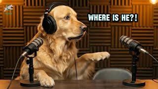 Goldie Thought Frenchie Was Never Coming Back