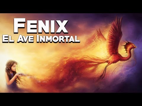 Vídeo: Què és una criatura mítica Fènix?