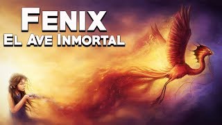 Fenix El Ave Inmortal - Bestiario Mitológico - Mira La Historia