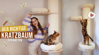 der richtige Kratzbaum für Katzen // Kratzsäule von Natural Paradise im Test / Unboxing  Amely Rose