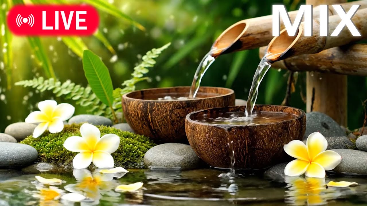 🔴 Peaceful Piano for Study, Meditation & Spa | Calming Music to Relieve Stress, Relax Piano Music