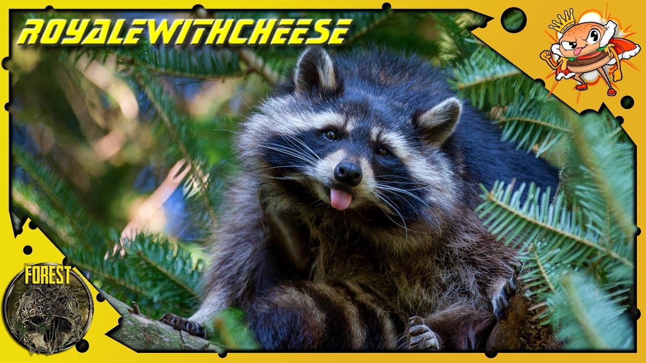 Hunting Waskely Waccoons And Boars! Quest For The Warm Suit - Phleese Takes On The Forest [EP 16]
