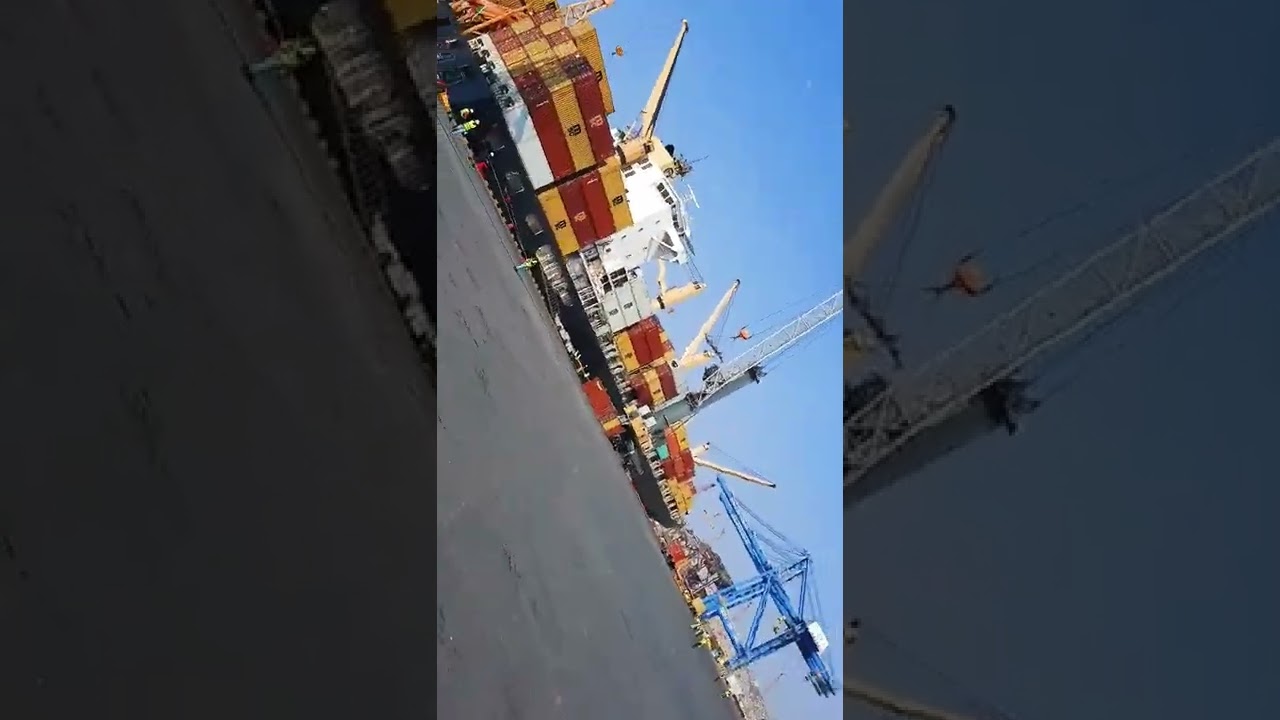 MSC Meltemi 3, Navio cargueiro