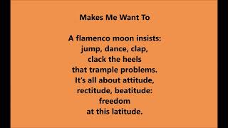 Opposite of Blink 'Makes Me Want To' Poem by Tim Van Schmidt from Stoplight Zen 2026